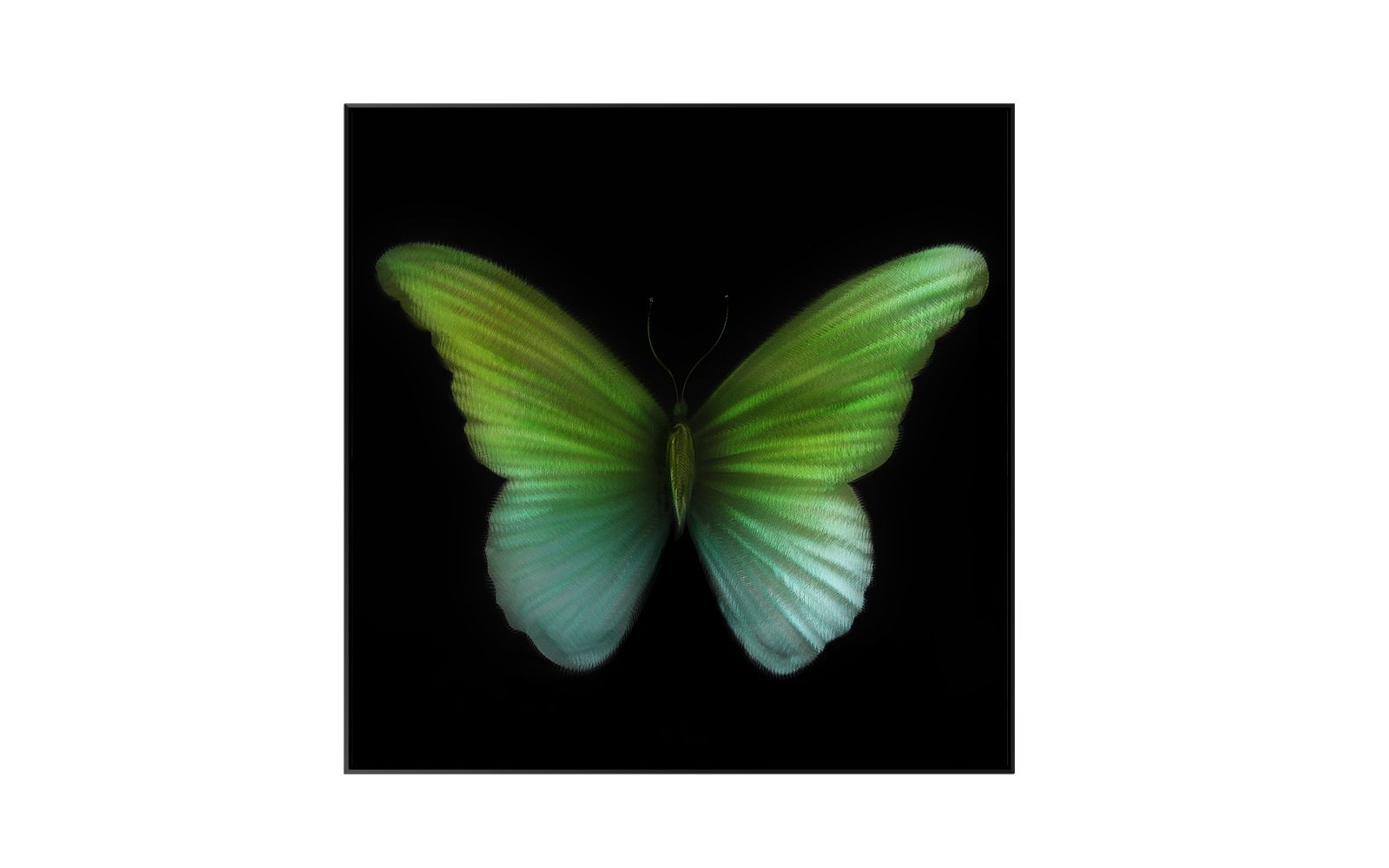 3D Beautiful Gradient Butterfly Metal Handmade Painting