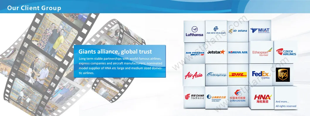 Aircraft Collection for DHL 40 Years in Korea B757-200 47cm Plane Model