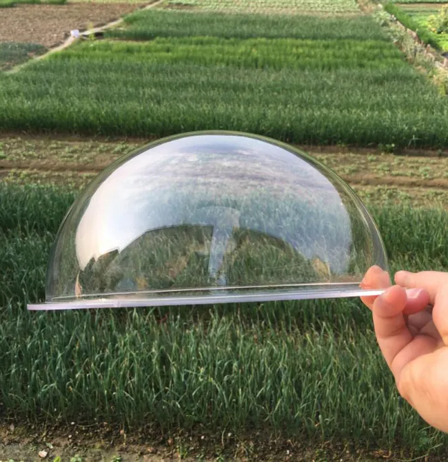 Clear Acrylic Display Semi Spheres with Flange