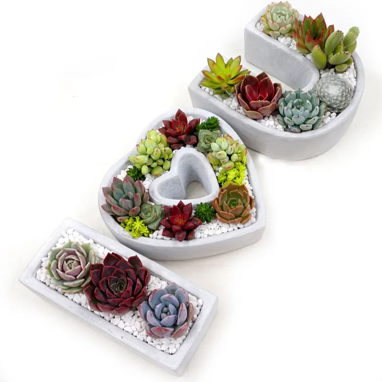 Creative Flower Pot Love Heart Plate Colorful Simple Heart Shaped Meaty Flower Pot