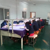 Factory Direct Selling Coins Wholesale and Custom Many New Design Autonomous National Representative Animals of Silver Coin