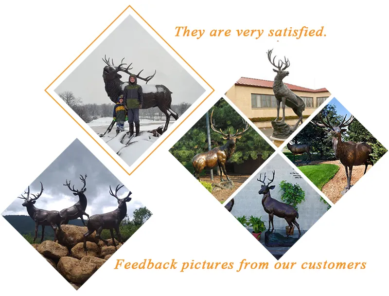 High Quality Life Size Garden Bronze Peacock Sculpture