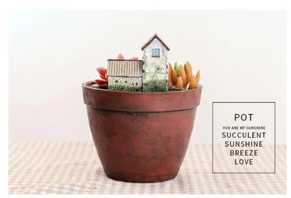 Home Sky Garden Creative Zakka Meaty Flowerpot Micro Landscape with Resin Craft Gifts