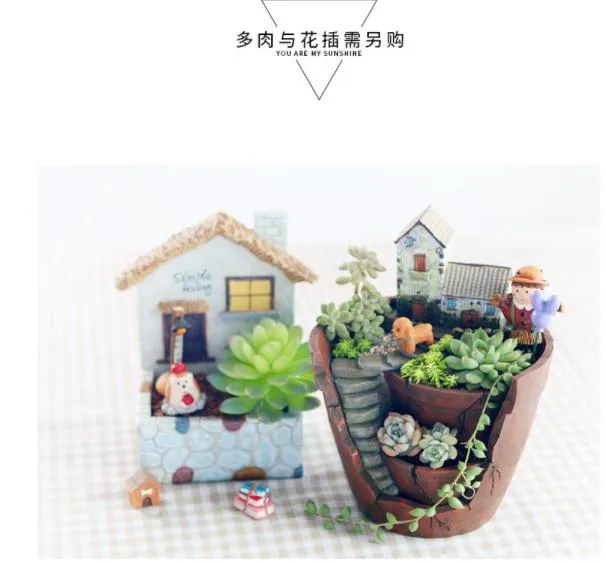 Home Sky Garden Creative Zakka Meaty Flowerpot Micro Landscape with Resin Craft Gifts-1