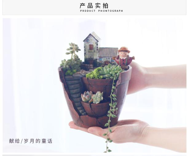 Home Sky Garden Creative Zakka Meaty Flowerpot Micro Landscape with Resin Craft Gifts