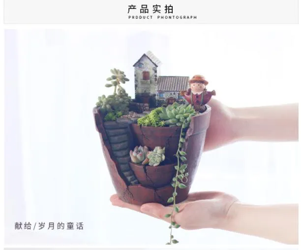 Home Sky Garden Creative Zakka Meaty Flowerpot Micro Landscape with Resin Craft Gifts-2