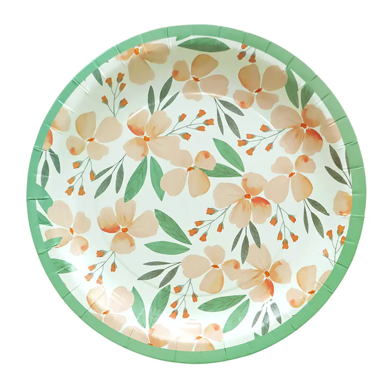 10in Paper Plates 38CT