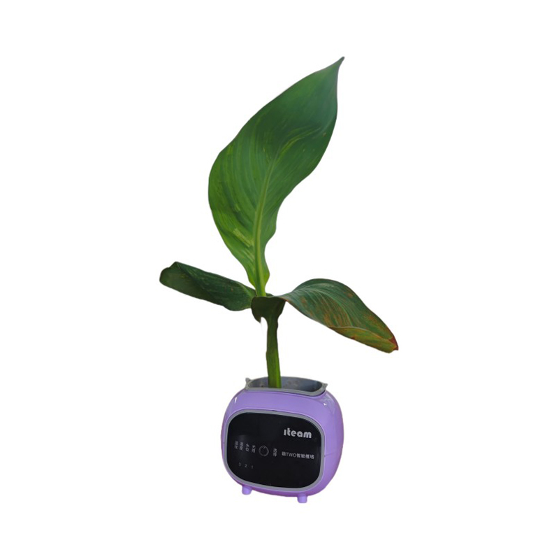 Mini Intelligent Flowerpot