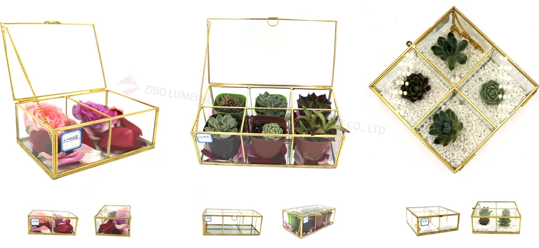 Irregular Copper Handmade Glass Flower Pot for Succulents Fern Moss