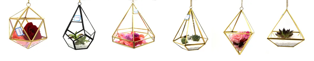 Irregular Copper Handmade Glass Flower Pot for Succulents Fern Moss