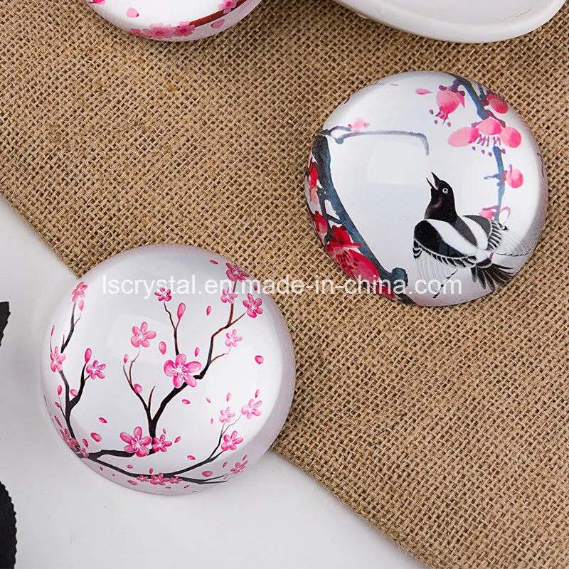 Large 3.9” Magnifying Glass Dome Multi Pictures