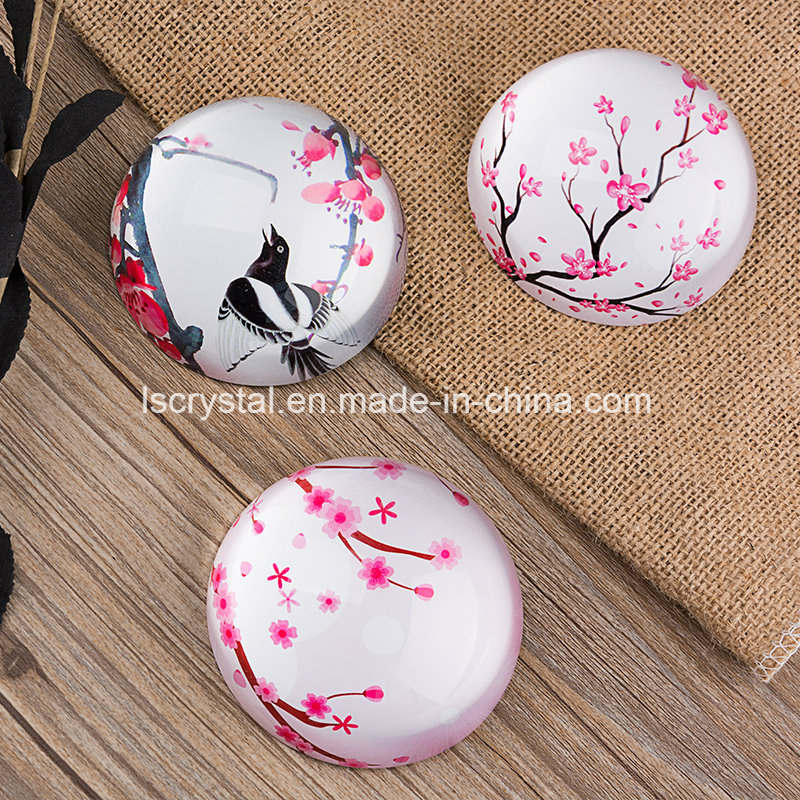 Large 3.9” Magnifying Glass Dome Multi Pictures