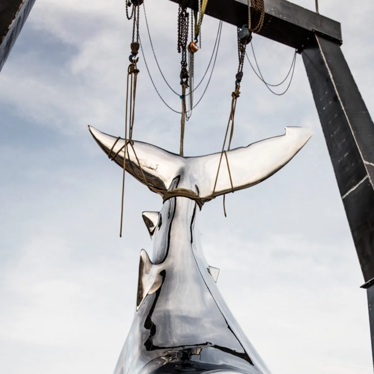 Large Outdoor Stainless Steel Statue Shark Sculpture