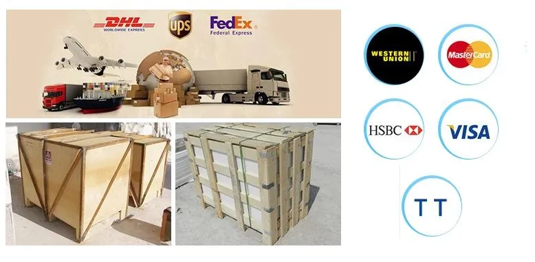 Outdoor Bronze Decoration Sculpture Life Size Bronze Foo Dog Sculpture