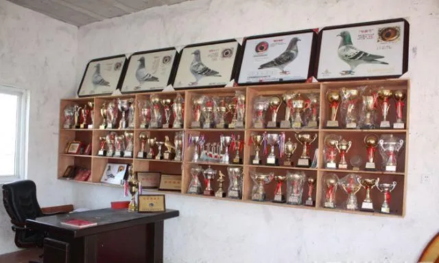 Professional Custom Design Metal Painted Golden Match Medal Trophy Hot Products Customized Basketball Trophy (18)