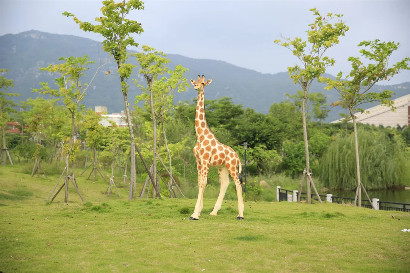 Resin Crafts Fiberglass Giraffe Statues FRP Sculpture Life Size Animial