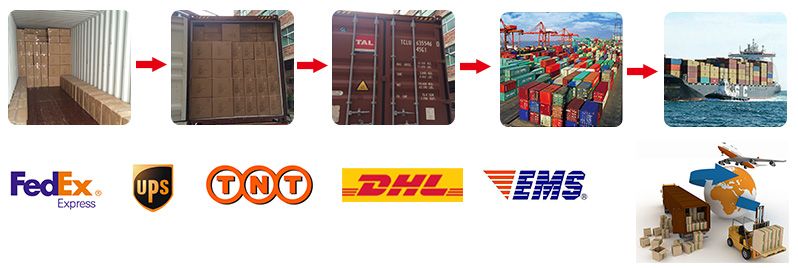 Resin Montenegro Donkey Decoration Snowball Souvenirs Gifts