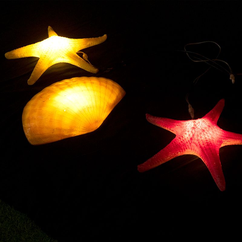 Shells and Starfish Lamp Sculpture