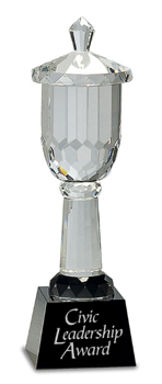 Star Octagon Crystal Award